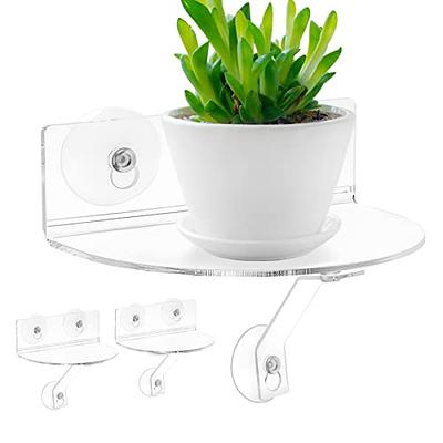 2 Pack Suction Cup Shelf for Plants Window, with Load-Bearing Bracket  Window Shelf for Plants Herb Pots, Indoor Plants, Acrylic Window Sill  Extender for Plants, Window Plant Shelves (Semicircular) - Yahoo Shopping