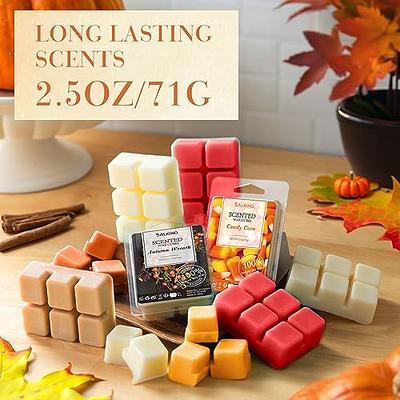 4 Pk Cube Apple Cinnamon Wax Melts Candle Warmers Fragrance 2.5oz