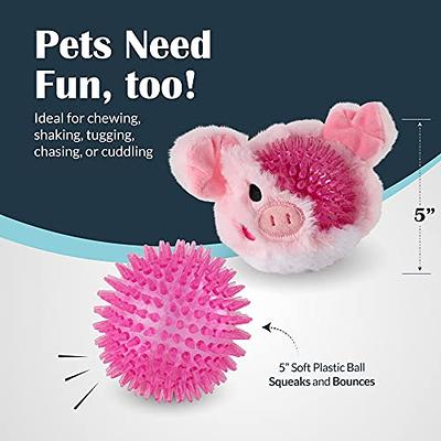 petizer Dog Toys for Aggressive Chewers, Non Squeak Dog Chew Toys,  Indestructible Dog Toys, Dog Teething Toys Made with Nylon and Rubber for