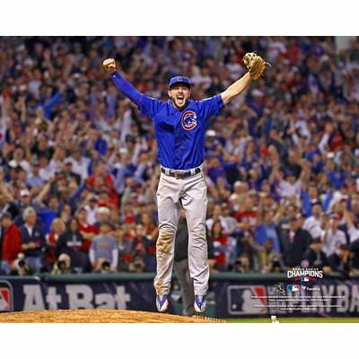 Chicago Cubs Fanatics Authentic 2016 MLB World Series Champions Framed 15  x 17 Collage