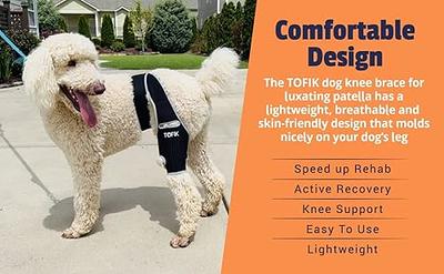 Premium Dog ACL Knee Brace, Dog Knee Brace for Torn ACL Hind Leg