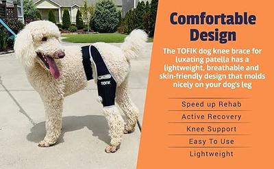 Dog Knee Brace, Dog Leg Braces for Back Leg, Dog Knee Support Sleeve ACL  Brace for Dogs, Dog Arth ritis Brace, Flexible Support Treat for Luxating  Patella Cruciate Ligament Sprain Strain Tear 