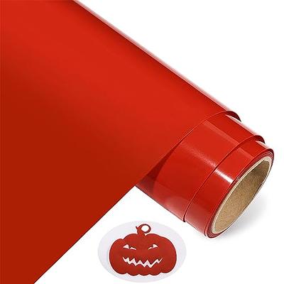 CAREGY Heat Transfer Vinyl HTV for T-shirts Iron on Vinyl 12 Inches by 30 Feet Roll (Red)