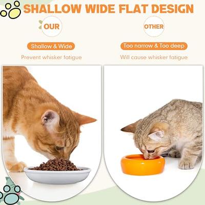 Baby Feeding Set Silicone Feeding Set Shallow Tray Kitten Design