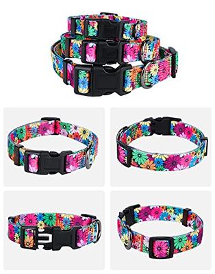 Faygarsle Cute Dog Collar for Girls Boy Dogs Soft Fancy Pet Collar with  Lemon Design Ideal Yellow Green Summer Dog Collar for Small Medium Large  Dogs