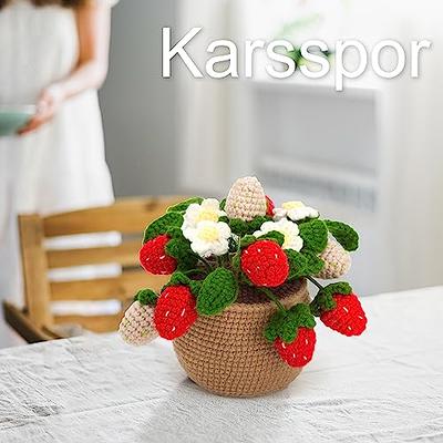  Karsspor Christmas Crochet Kit for Beginners - 3 PCS Cute Christmas  Crochet, Beginner Crochet Kit for Adults with Detailed Instruction and  Video Tutorials, Complete Crochet Set(Patent)