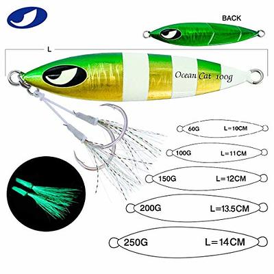OCEAN CAT 1 PC Slow Fall Pitch Fishing Lures Sinking Lead Metal Flat Jigs  Jigging Baits with Hook for Saltwater Fishing 100G/150G/200G/250G (250g,  Each Color 1 pc(All 5 pcs)) - Yahoo Shopping