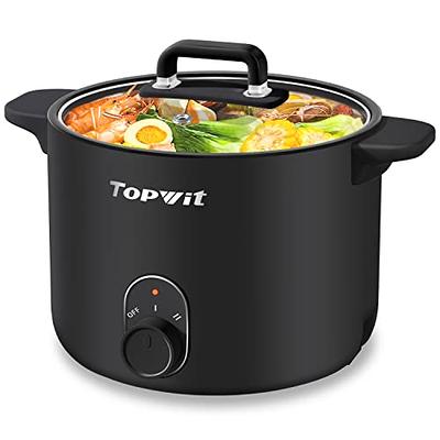 SUNVIVI OUTDOOR Dual Pot Slow Cooker Review 