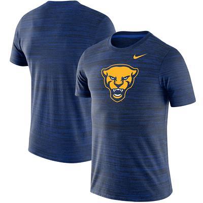 Carolina Panthers Nike Logo Essential Legend Performance T-Shirt - Blue