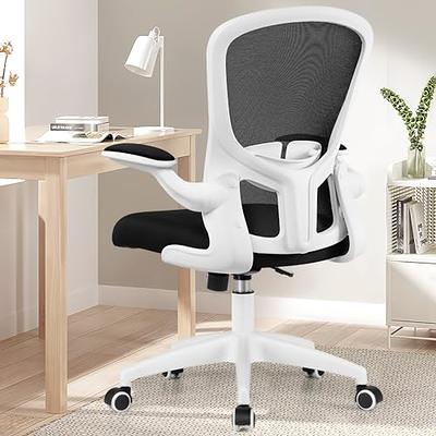 Winrise Office Chair Desk Chair, Ergonomic Mesh Computer Chair Home Office  Desk Chairs, Swivel Task Chair Mid Back Breathable Rolling Chair with  Adjustable Lumbar Support Flip Up Armrest (Black) 