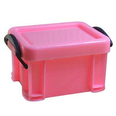 dezirZJjx Storage Container Premium Mini Plastic Jewelry Necklace Pill  Storage Box Case Organizer Holder Container - Pink - Yahoo Shopping