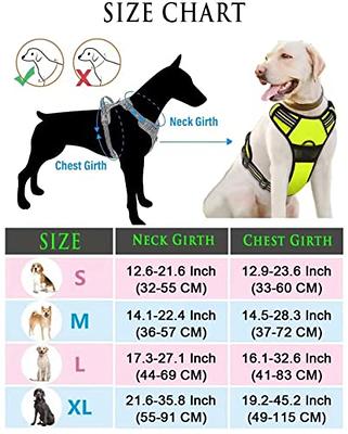 Monogram Dog Harness And Leash Set