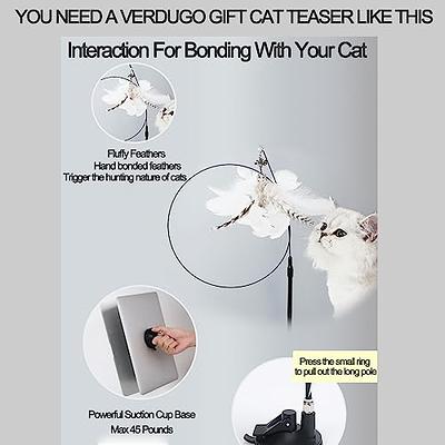 Cat Toys Hands-Free 4 Pack Cat Toys Wand Auto Interactive Natural Bird  Feather, Suction Cup Pet Indoor Dancing Playing Toys, Suction Cup Pet  Indoor