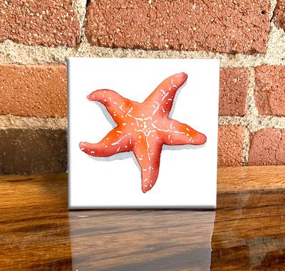 Okllen 2.2 Pounds Mixed Beach Seashells Starfish, Natural Large
