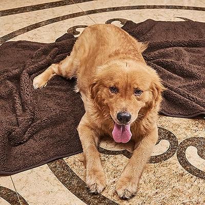  Ompaa Door Mat Indoor Rugs for Entryway, 32x20 Grey, Dog Rugs  for Muddy Paws Floors Mat, Super Absorbent Non-Slip Washable Dirt Trapper, Inside  Entry Rugs for Entrance, Patio, Garage : Home