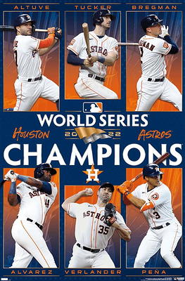 MLB Houston Astros - Neon Helmet 23 Wall Poster, 22.375 x 34 Framed -  Yahoo Shopping