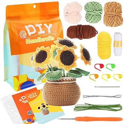 Iuuidu Crochet Kits for Beginners,Flower Crochet Kit,DIY Crochet
