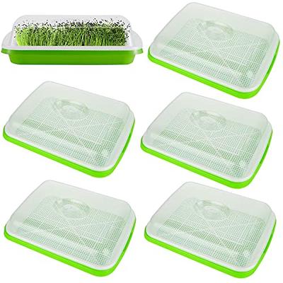 Happyyami 1 Set Egg Type Soy Sprout Jar Propagation Seedling Tray Sprouting  in a Jar Growing Tray Sprouter Tray Grow Bean Sprout Pot Tray Plant