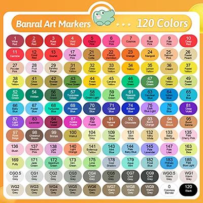 Banral 120 Colors Alcohol Markers, Premium Dual Tip Alcohol Based Art  Markers Set for Adult Kids Coloring Drawing Sketching Permanent Brush  Markers