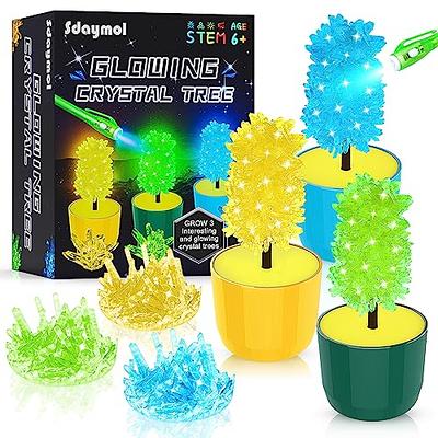 Byncceh Glow Crystal Growing Kit Science Explore Grow Your Own Crystals  STEAM Toys for Boys & Girls Crystal Growing for Age 7-12 - Realistic Reborn  Dolls for Sale