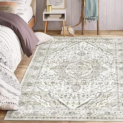  Ophanie Small Throw Rugs for Bedroom, 2x3 Non Slip