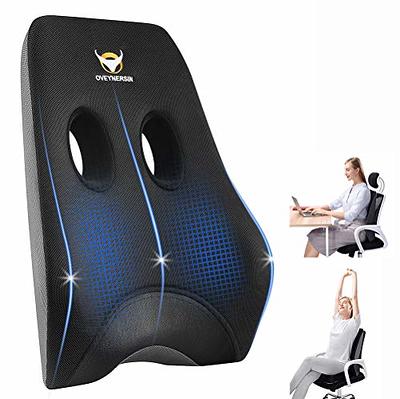 Chair Mesh Lumbar Support Car Seat Back Support Cushion - China Car Cushion,  Car Seat Support