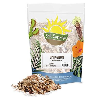 Sphagnum Moss Potting Mix (1 Quart); for Carnivorous Plants: Blend of Dried  Moss with Perlite - Yahoo Shopping