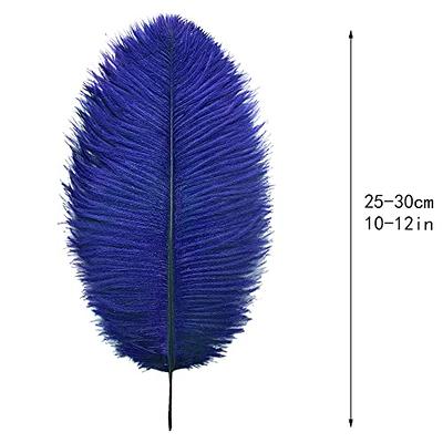 Ballinger Champagne Ostrich Feathers Bulk - 24pcs 10-12inch Boho Feathers for Vase and Home Decor Wedding Party Centerpieces