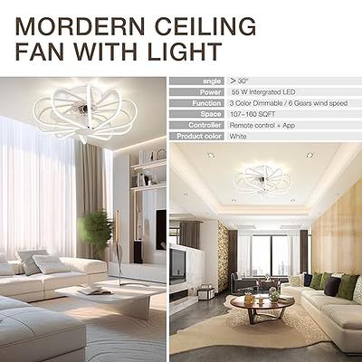 SAMPHON Ceiling Fans with Lights,24'' Caged Flush Mount Ceiling