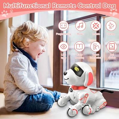 WonderPlay Remote Control Toys - Smart Pet Robot Dog - Yahoo Shopping