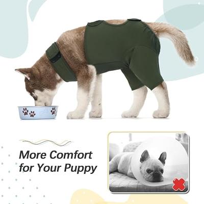 Kuoser Dog Surgery Recovery Suit, Female Male Dog Surgical Suit for Spay  Neuter, Dog Onesie for Surgery Dog Bodysuit Post Pet Surgical Shirt,  Prevent Licking Dog Cone Alternative After Surgery - Yahoo