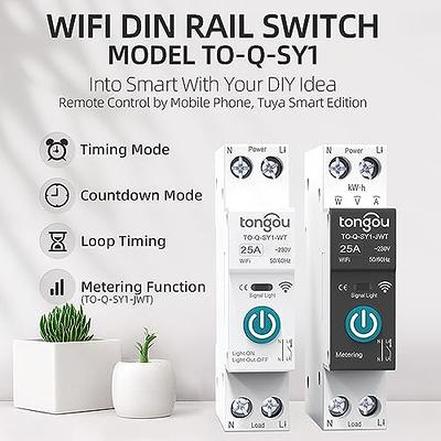 Tuya Smart Life Tiny WiFi Switch Socket Module DIY Smart Light and Socket  Google Home Echo Alexa Voice Control Remote Control