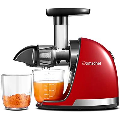 Unrivalled Quality and Value Amzchef-us KitchenAid Slow Masticating Juicer  Attachment, juicer kitchenaid