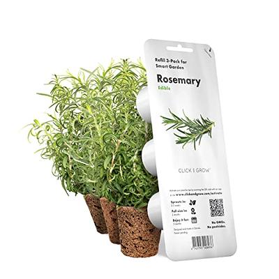 Click & Grow Plant Pods - 3-Packs Thyme