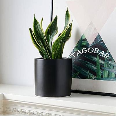 Mozing 2 Pack Ceramic Plant Pots Indoor - Set 4.8 + 6 inch Planter Pot with  Drainage Hole (Black) 