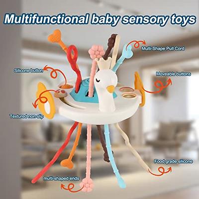 LZZAPJ Sensory Toys for Toddlers 1-3, Montessori Toys for 1 Year Old,  Infant Swan Pull String Car Seat Toys for Travel, Teething Toys for Babies  6-12 Months First Birthday Gift for Baby. - Yahoo Shopping