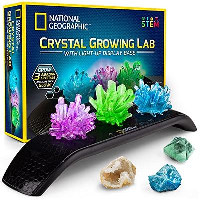 Crystal Growing Kit for Kids - 10 Crystals Science Experiment Kit + 2 Glow  in The Dark Crystals with DIY Paint Display Stand – Great Gift for Girls  and Boys Ages 6-12 