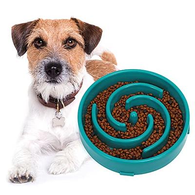 PETDURO Slow Feeder Dog Bowls Maze Puzzle Food Bowl for Fast Eaters of All  Sizes, PETDURO