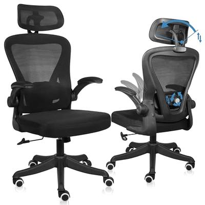 SeekFancy Ergonomic Office Chair M903, High Back Desk Chairs with