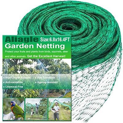 Bird Netting for Garden Protect Vegetable Plants and Fruit Trees