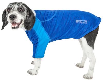 Pet Life Blue Dog/Cat Coat Small in the Pet Clothing department at