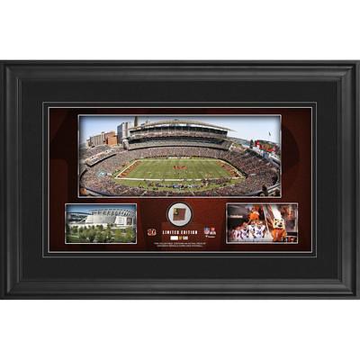 Detroit Lions vs. Minnesota Vikings Framed 10 x 20 House Divided Football  Collage