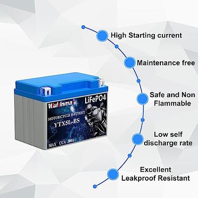 YTX7L-BS -12 Volt 6 AH, 100 CCA, Rechargeable Maintenance Free SLA AGM  Motorcycle Battery 