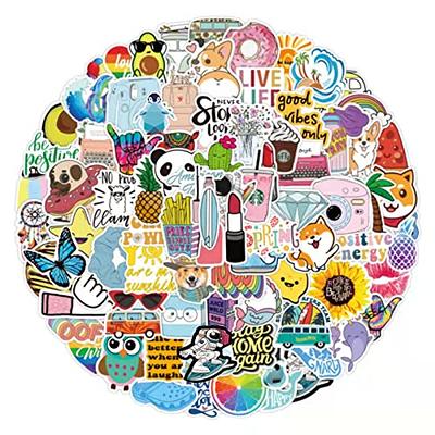 600PCS Mixed Cool Stickers for Adults, Teens, Kids, Vinyl Aesthetic  Stickers Stickers for Water Bottle, Laptop, Guitar, Skateboard, Luggage