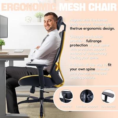 Office Chair, Ergonomic Mesh Desk Chair, High Back Home Office Desk Chairs  with Adjustable Headrest & Seat Height, 2D Arms, Tilt Function, and Lumbar