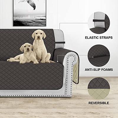 Waterproof Couch Cover Sofa Slipcover, Couch Cover for 3 Cushion Couch,  Non-Slip Cover for Leather Sofa , Microfiber Furniture Protector with  Elastic Strap for Kids, Pet, Dogs and Cats, Grey 