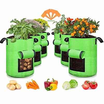 2pcs 10 Gallon Grow Bags NonWoven Pots Garden Vegetable Planting Bags for  Potato