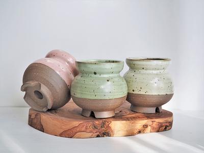 Succulent gift box - 3 ceramic pot