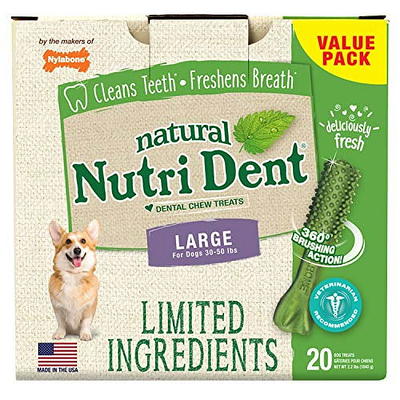 Arm & Hammer Ora-Play Denta-Saurus T-Rex Dental Chew Toy For Dogs, Best Dog  Chew Toy For The Toughest Chewers