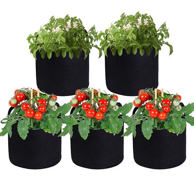 Sunnydaze Decor 5-Pack Garden Grow Bags with Handles - Non-Woven Fabric - Black - 10 Gal